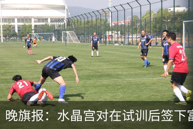 晚旗报：水晶宫对在试训后签下富安健洋持开放态度