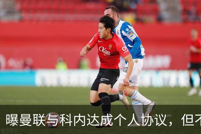 曝曼联与科内达成个人协议，但不愿6000万签！两英超铁腰亦是候选