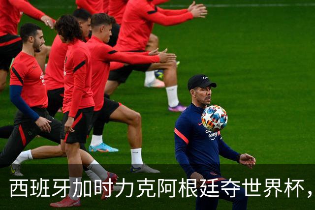 西班牙加时力克阿根廷夺世界杯，托雷斯106分钟致命一击