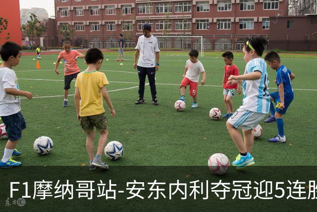 F1摩纳哥站-安东内利夺冠迎5连胜 维斯塔潘诺里斯乐扣退赛
